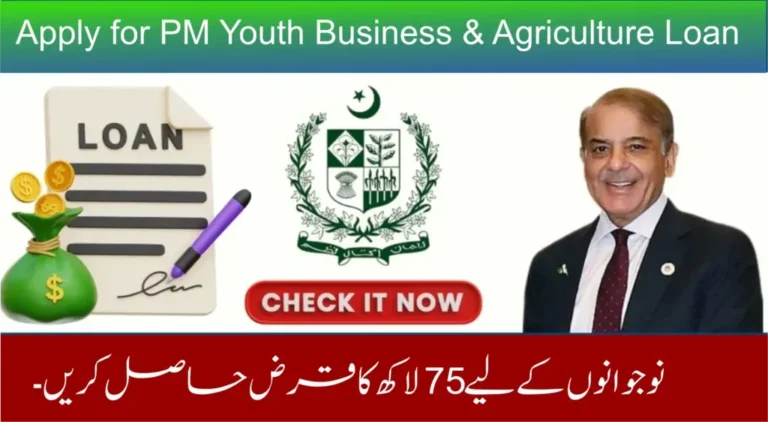 How to Apply for PM Youth Loan Scheme 2025