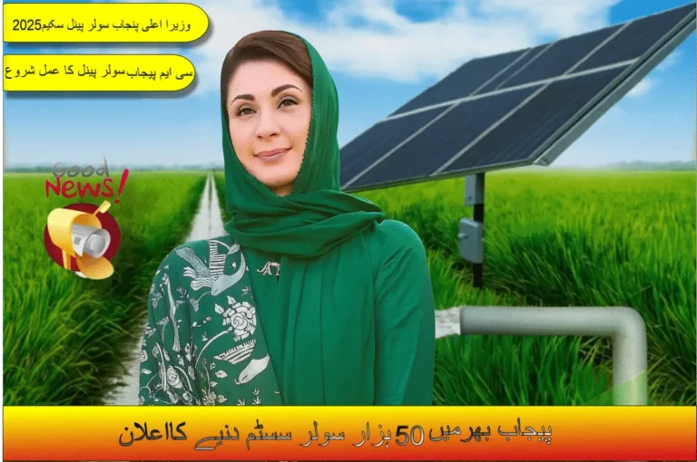 How to Apply for Punjab CM Solar Panel Scheme: Full Guide