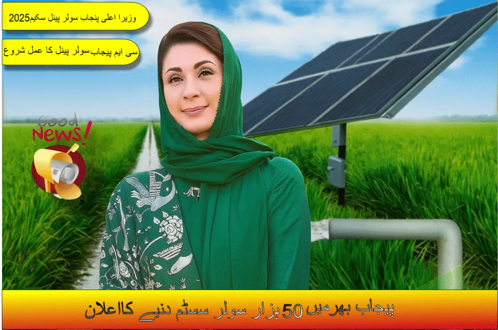 How to Apply for Punjab CM Solar Panel Scheme: Full Guide