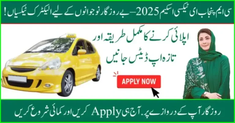 Maryam Nawaz E-Taxi Scheme 2025: Complete Guide