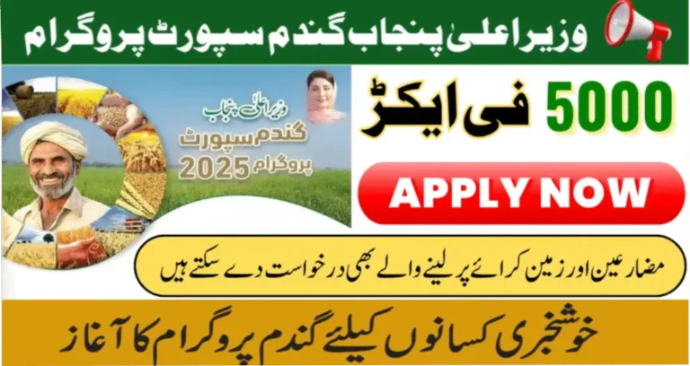 CM Punjab Wheat Support Program 2025
