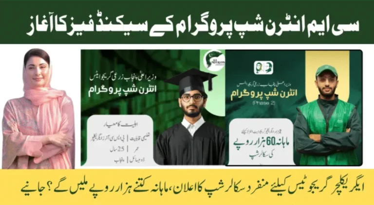Punjab Internship Program Phase 2 Earn Rs. 60,000 Monthly