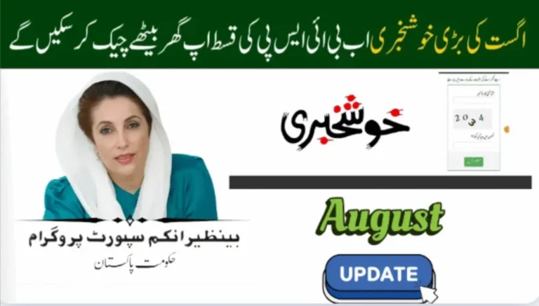 8171 CNIC Check August 2025 Payment Status Guide
