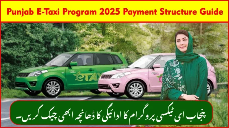 Punjab E Taxi Program 2025 Payment Structure Guide