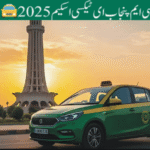 Discover Payment Structure of Punjab E-Taxi Program
