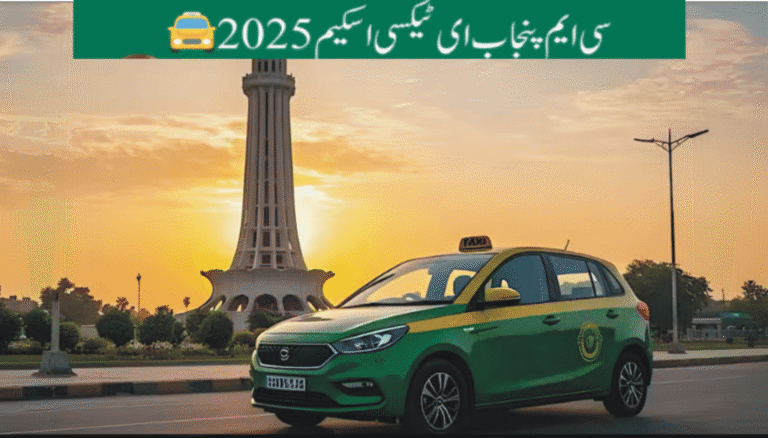 Discover Payment Structure of Punjab E-Taxi Program