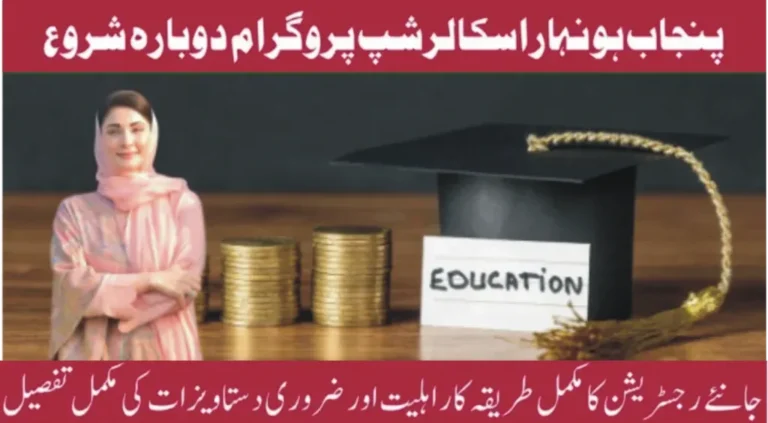 What is the Punjab 30,000 Scholarship Program?