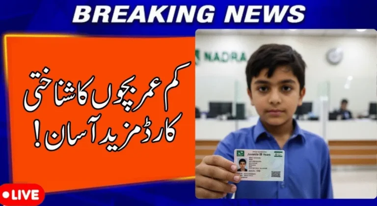 Easy Process to Get a Juvenile Identity Card for Children Under 18 Years