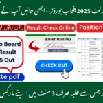 Punjab Boards Class 12 Results 2025 Announcement