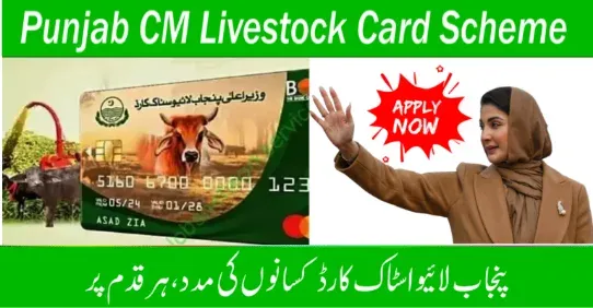 CM Punjab Livestock Card Scheme 2025