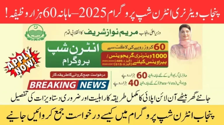 "Punjab Internship Program 2025 for youth empowerment"