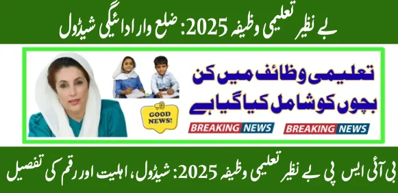 Benazir Taleemi Wazaif July 2025 online registration through 8171 portal, CNIC check, stipend details for primary, secondary, and higher secondary students in Pakistan.