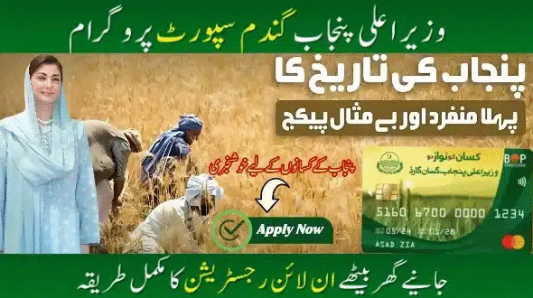 CM Punjab Wheat Support Program 2025 Farmers in Punjab checking application status of Wheat Support Program 2025 through CNIC on official website wsp2025.punjab.gov.pk for subsidy updates.”