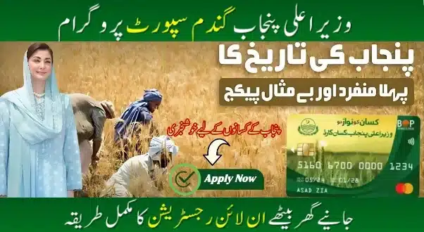 CM Punjab Wheat Support Program 2025 Farmers in Punjab checking application status of Wheat Support Program 2025 through CNIC on official website wsp2025.punjab.gov.pk for subsidy updates.”